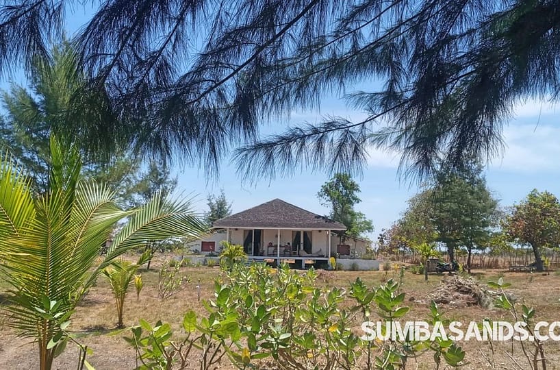 A close-up, high-resolution shot of three elegant French-designed wooden villas at the Sumba operating beachfront villas estate. The villas feature large glass windows overlooking a white-sand beach and crystal-clear turquoise waters in East Sumba.
