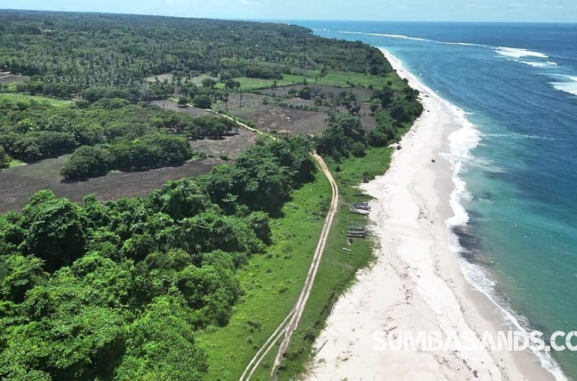 Wainyapu Beachfront Surf Land | 8.5 Ha Freehold With 460 m Beach, Kodi