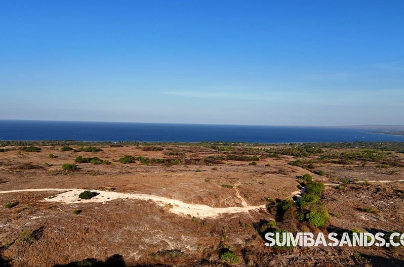 Premier 5-hectare Waingapu Hilltop Investment Land for sale in East Sumba. 360° ocean and hill views, 10 mins from airport. High growth zone. EUR 72,000.