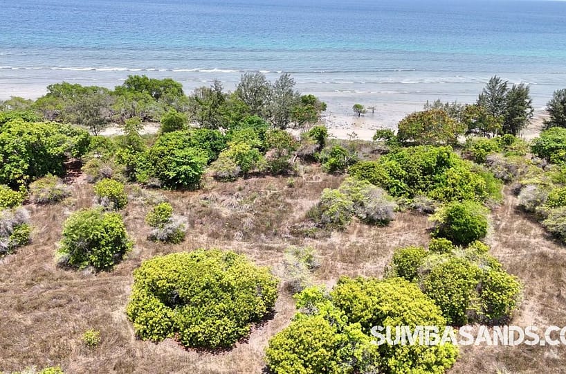 Secure a 0.5-hectare Rambangaru Beachfront Estate in East Sumba for EUR 26,000. Features 87m direct frontage, flat build-ready terrain, and freehold title.