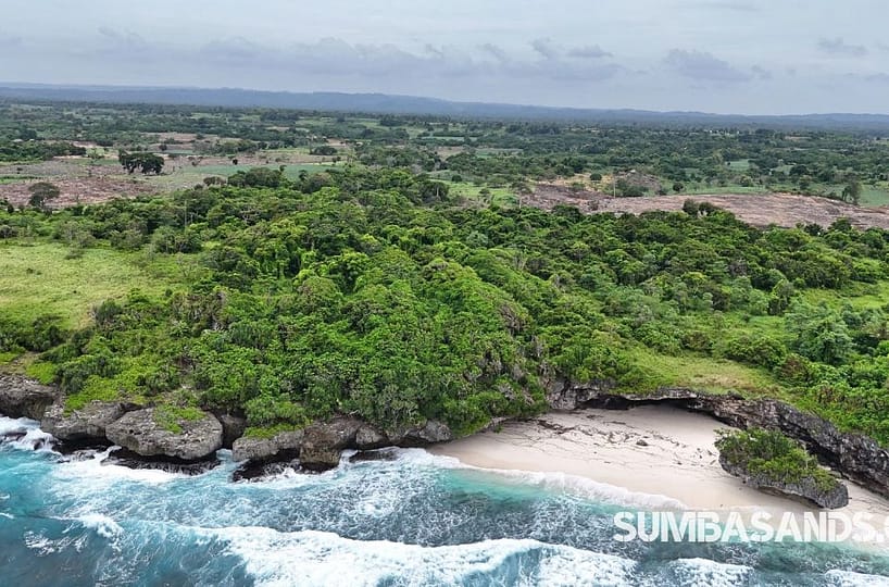 A high-resolution aerial view of two separate, rectangular land parcels situated next to each other within a dense green forest. A paved asphalt road borders the plots, leading toward the turquoise waters of Halete Beach.