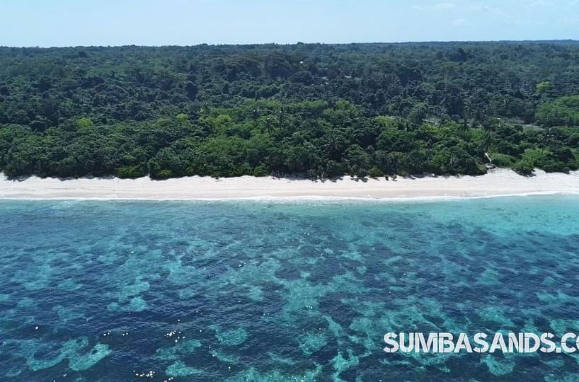 A dramatic aerial view of the Kodi Premier Beachfront Estate. The image captures 1 hectare of lush green land meeting a 20-meter sandy shoreline, featuring a natural cliff buffer and direct access to the main regional road