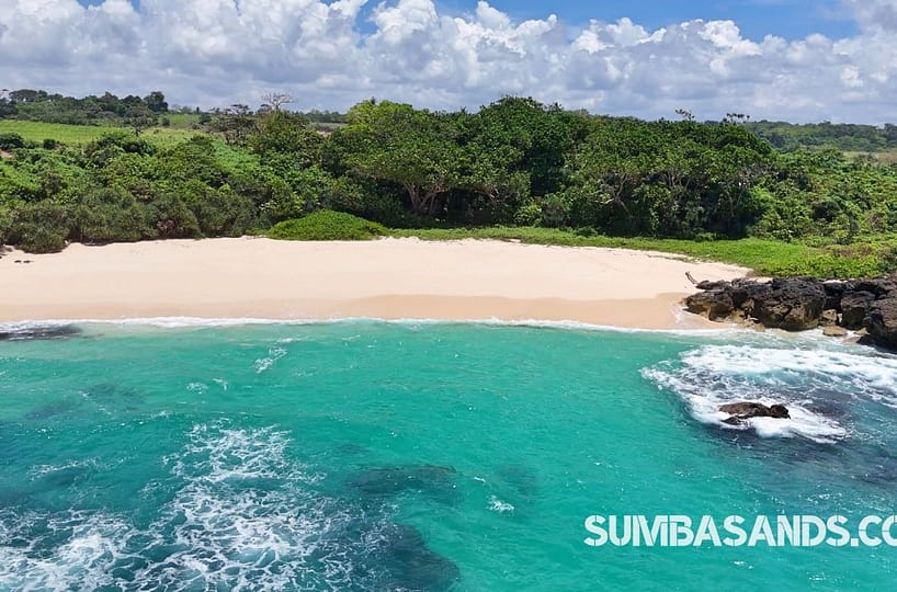 A panoramic aerial view of the Waibuku Private Beach Estate. The image captures 3.4 hectares of lush green land meeting a deep white-sand beach with turquoise waters in Pannengo Ede, Southwest Sumba.