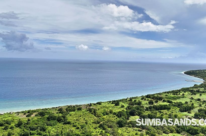 A panoramic aerial view of the West Sumba Beachfront 100 Hectares. The image captures over 1 million sqm of flat, vibrant green land meeting a massive 800-meter white-sand beach on the West Sumba coast.