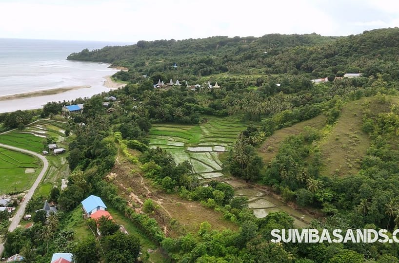 : An aerial shot of the 3 hill plots in Wanokaka. The image captures elevated green land meeting the turquoise Indian Ocean and rice fields in Southwest Sumba.