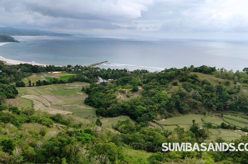 An aerial shot of the Rua Beach Hill plot. The image captures an elevated green plot meeting the turquoise Indian Ocean in West Sumba.