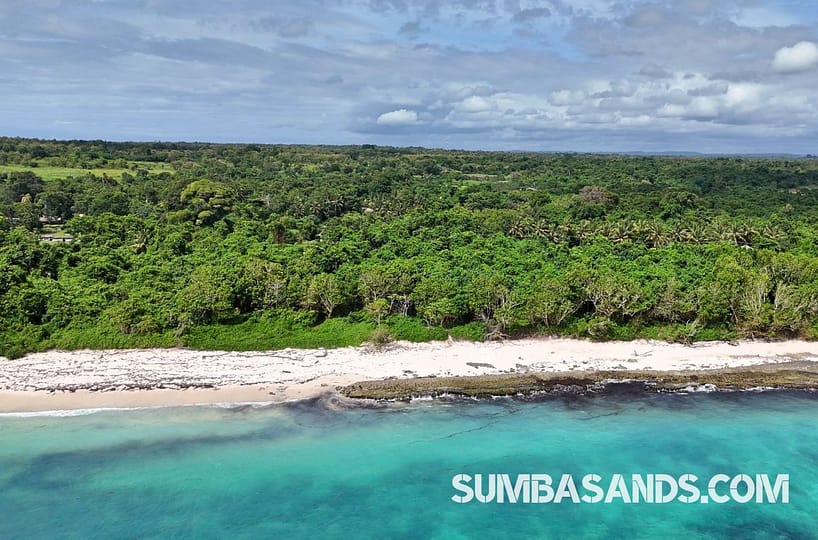 Pure beachfront. 0.5 hectares of untouched coastline for 25 per sqm.