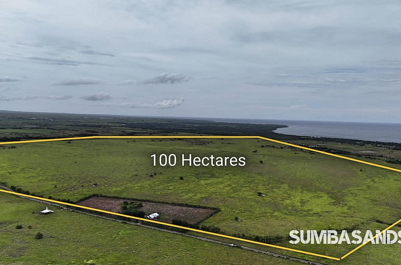 A breathtaking wide-angle drone shot showing the vast 100-hectare expanse of Patawang Hillside, with plotted boundaries overlooking the turquoise East Sumba coastline.