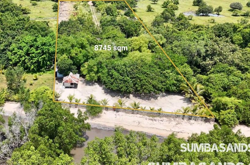 A crisp aerial drone photograph highlighting the defined yellow boundary line of the 8,745 sqm freehold plot at Mondu beach. The image showcases a lush, fully enclosed green estate dotted with large shade trees, featuring a distinct traditional Sumba-style building roof and direct frontage on a sandy beach strip lined with coastal mangroves
