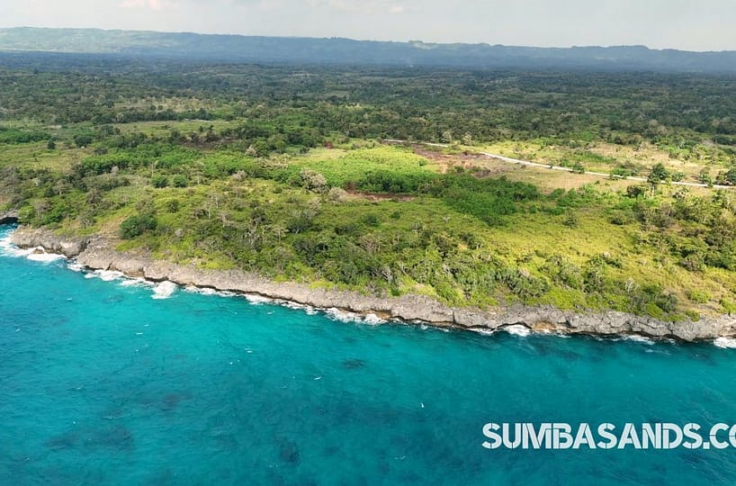 An aerial drone photograph capturing the dramatic, rugged rocky cliff face of the Bukambero Cliff Ocean View Land plot meeting a vibrant, crystal-clear turquoise ocean. The elevated terrain is blanketed in lush green tropical trees and coastal vegetation, stretching out beneath a clear blue sky.